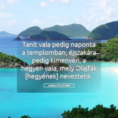 Picture 05 - Lukács 21:37 KAR - Tanít vala pedig naponta a templomban; - Bible Verse Picture