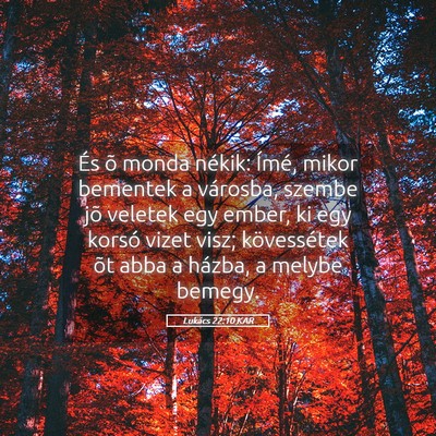 Picture 05 - Lukács 22:10 KAR - És õ monda nékik: Ímé, mikor bementek a - Bible Verse Picture