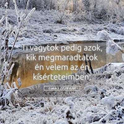 Picture 05 - Lukács 22:28 KAR - Ti vagytok pedig azok, kik megmaradtatok én - Bible Verse Picture