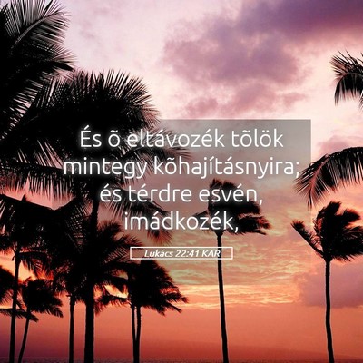 Picture 05 - Lukács 22:41 KAR - És õ eltávozék tõlök mintegy - Bible Verse Picture