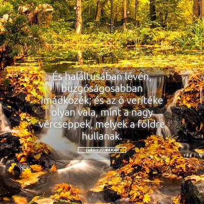 Picture 05 - Lukács 22:44 KAR - És haláltusában lévén, buzgóságosabban - Bible Verse Picture
