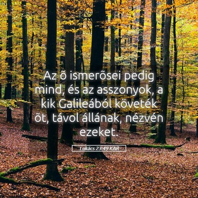 Picture 05 - Lukács 23:49 KAR - Az õ ismerõsei pedig mind, és az asszonyok, a - Bible Verse Picture