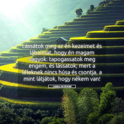 Picture 05 - Lukács 24:39 KAR - Lássátok meg az én kezeimet és lábaimat, - Bible Verse Picture
