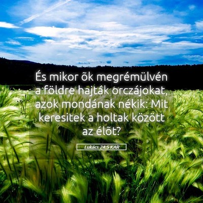 Picture 05 - Lukács 24:5 KAR - És mikor õk megrémülvén a földre hajták - Bible Verse Picture