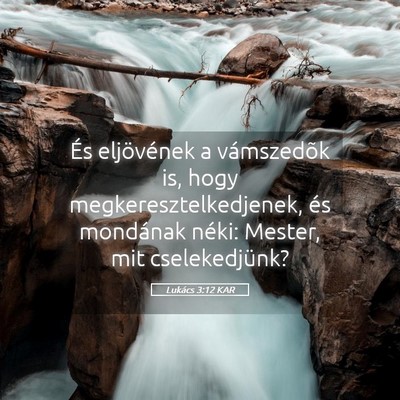 Picture 05 - Lukács 3:12 KAR - És eljövének a vámszedõk is, hogy - Bible Verse Picture