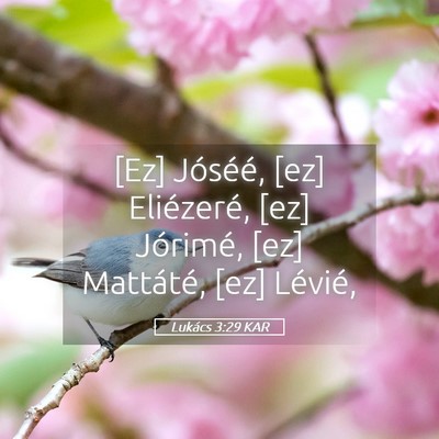 Picture 05 - Lukács 3:29 KAR - [Ez] Jóséé, [ez] Eliézeré, [ez] Jórimé, - Bible Verse Picture