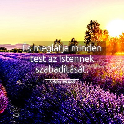 Picture 05 - Lukács 3:6 KAR - És meglátja minden test az Istennek - Bible Verse Picture