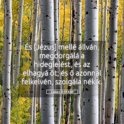 Picture 05 - Lukács 4:39 KAR - És [Jézus] mellé állván, megdorgálá a - Bible Verse Picture
