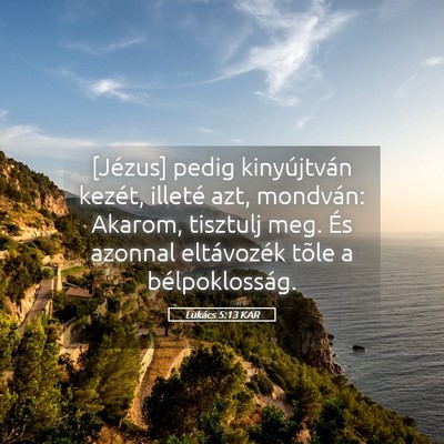 Picture 05 - Lukács 5:13 KAR - [Jézus] pedig kinyújtván kezét, illeté azt, - Bible Verse Picture