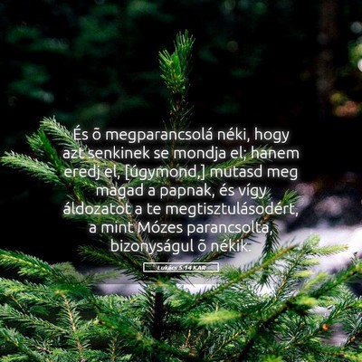Picture 05 - Lukács 5:14 KAR - És õ megparancsolá néki, hogy azt senkinek se - Bible Verse Picture