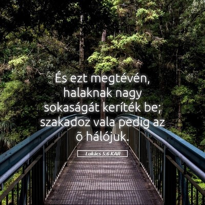 Picture 05 - Lukács 5:6 KAR - És ezt megtévén, halaknak nagy sokaságát - Bible Verse Picture