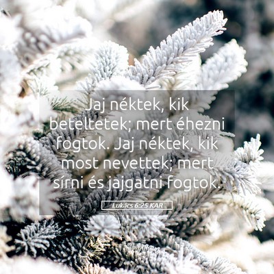 Picture 05 - Lukács 6:25 KAR - Jaj néktek, kik beteltetek; mert éhezni fogtok. - Bible Verse Picture