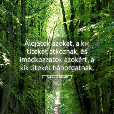 Picture 05 - Lukács 6:28 KAR - Áldjátok azokat, a kik titeket átkoznak, és - Bible Verse Picture