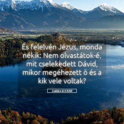 Picture 05 - Lukács 6:3 KAR - És felelvén Jézus, monda nékik: Nem - Bible Verse Picture