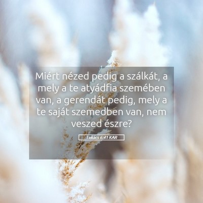 Picture 05 - Lukács 6:41 KAR - Miért nézed pedig a szálkát, a mely a te - Bible Verse Picture