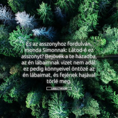 Picture 05 - Lukács 7:44 KAR - És az asszonyhoz fordulván, monda Simonnak: - Bible Verse Picture