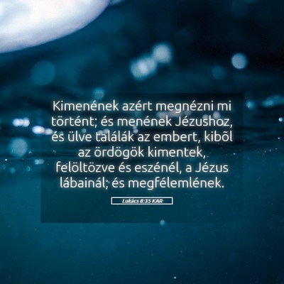 Picture 05 - Lukács 8:35 KAR - Kimenének azért megnézni mi történt; és - Bible Verse Picture