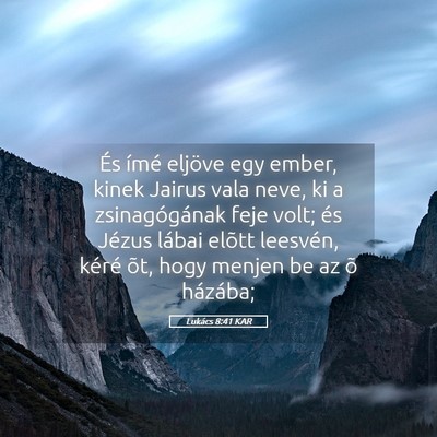 Picture 05 - Lukács 8:41 KAR - És ímé eljöve egy ember, kinek Jairus vala - Bible Verse Picture