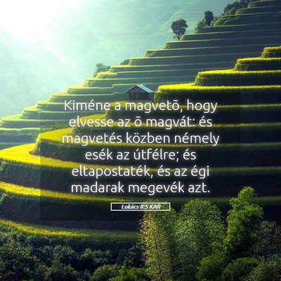 Picture 05 - Lukács 8:5 KAR - Kiméne a magvetõ, hogy elvesse az õ magvát: - Bible Verse Picture