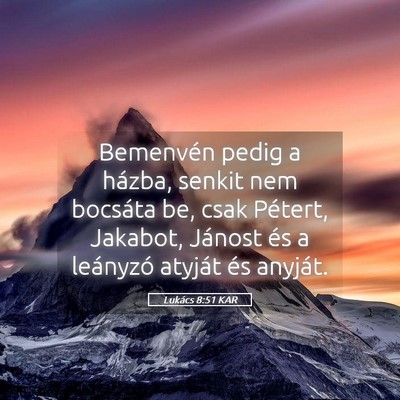 Picture 05 - Lukács 8:51 KAR - Bemenvén pedig a házba, senkit nem bocsáta be, - Bible Verse Picture