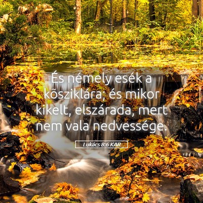 Picture 05 - Lukács 8:6 KAR - És némely esék a kõsziklára; és mikor - Bible Verse Picture
