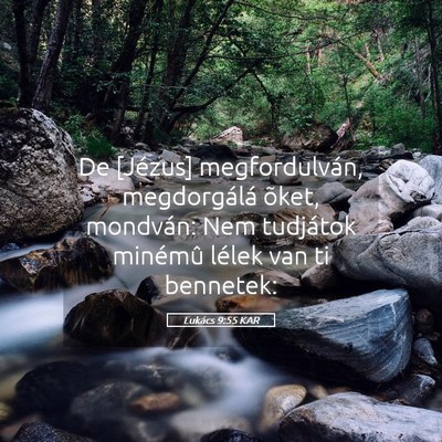 Picture 05 - Lukács 9:55 KAR - De [Jézus] megfordulván, megdorgálá õket, - Bible Verse Picture