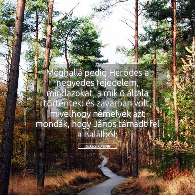 Picture 05 - Lukács 9:7 KAR - Meghallá pedig Heródes a negyedes fejedelem, - Bible Verse Picture
