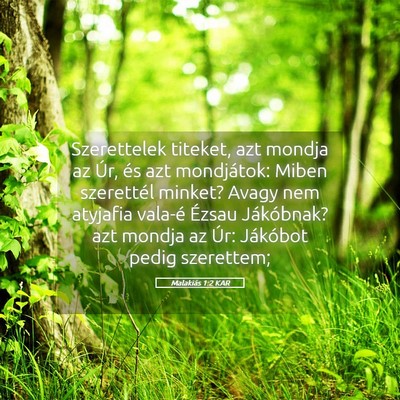 Picture 05 - Malakiás 1:2 KAR - Szerettelek titeket, azt mondja az Úr, és azt - Bible Verse Picture