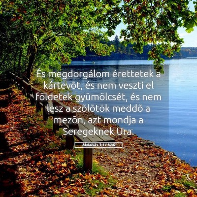Picture 05 - Malakiás 3:11 KAR - És megdorgálom érettetek a kártevõt, és nem - Bible Verse Picture