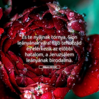 Picture 05 - Mikeás 4:8 KAR - És te nyájnak tornya, Sion leányának vára! - Bible Verse Picture