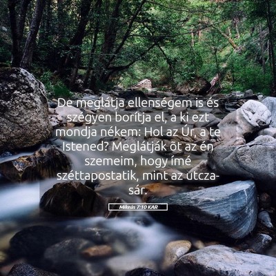 Picture 05 - Mikeás 7:10 KAR - De meglátja ellenségem is és szégyen borítja - Bible Verse Picture