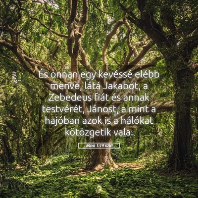 Picture 05 - Márk 1:19 KAR - És onnan egy kevéssé elébb menve, látá - Bible Verse Picture