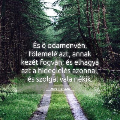 Picture 05 - Márk 1:31 KAR - És õ odamenvén, fölemelé azt, annak kezét - Bible Verse Picture