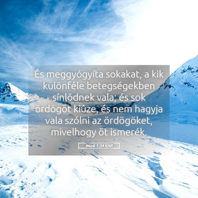 Picture 05 - Márk 1:34 KAR - És meggyógyíta sokakat, a kik különféle - Bible Verse Picture
