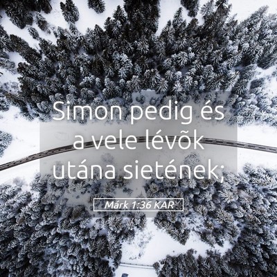 Picture 05 - Márk 1:36 KAR - Simon pedig és a vele lévõk utána - Bible Verse Picture