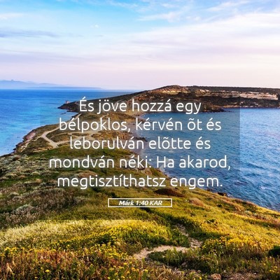 Picture 05 - Márk 1:40 KAR - És jöve hozzá egy bélpoklos, kérvén õt és - Bible Verse Picture