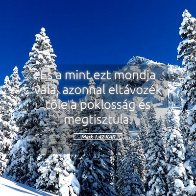Picture 05 - Márk 1:42 KAR - És a mint ezt mondja vala, azonnal eltávozék - Bible Verse Picture