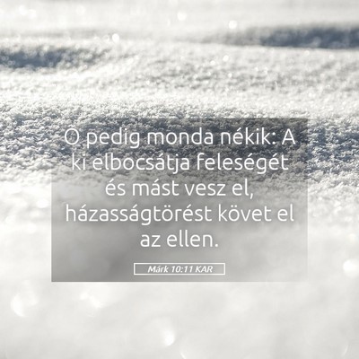 Picture 05 - Márk 10:11 KAR - Õ pedig monda nékik: A ki elbocsátja - Bible Verse Picture