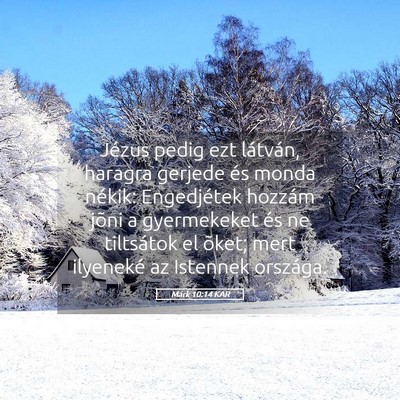 Picture 05 - Márk 10:14 KAR - Jézus pedig ezt látván, haragra gerjede és - Bible Verse Picture