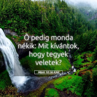 Picture 05 - Márk 10:36 KAR - Õ pedig monda nékik: Mit kívántok, hogy - Bible Verse Picture