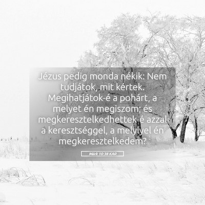 Picture 05 - Márk 10:38 KAR - Jézus pedig monda nékik: Nem tudjátok, mit - Bible Verse Picture
