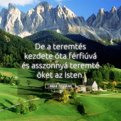 Picture 05 - Márk 10:6 KAR - De a teremtés kezdete óta férfiúvá és - Bible Verse Picture