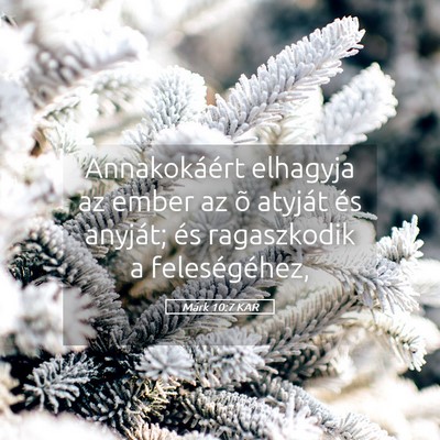 Picture 05 - Márk 10:7 KAR - Annakokáért elhagyja az ember az õ atyját és - Bible Verse Picture