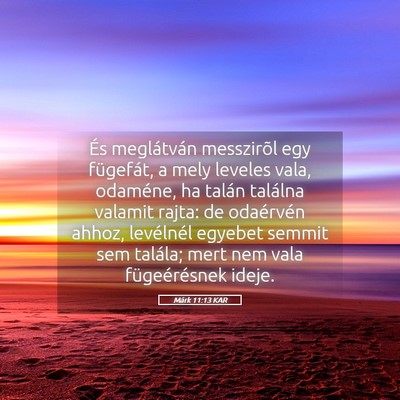 Picture 05 - Márk 11:13 KAR - És meglátván messzirõl egy fügefát, a mely - Bible Verse Picture