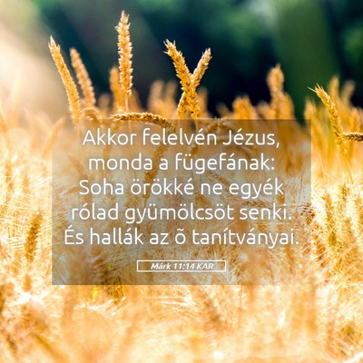 Picture 05 - Márk 11:14 KAR - Akkor felelvén Jézus, monda a fügefának: Soha - Bible Verse Picture