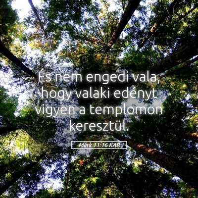 Picture 05 - Márk 11:16 KAR - És nem engedi vala, hogy valaki edényt vigyen a - Bible Verse Picture