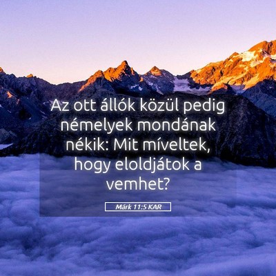 Picture 05 - Márk 11:5 KAR - Az ott állók közül pedig némelyek mondának - Bible Verse Picture