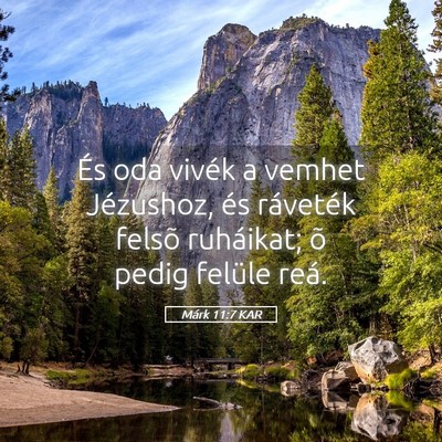 Picture 05 - Márk 11:7 KAR - És oda vivék a vemhet Jézushoz, és ráveték - Bible Verse Picture