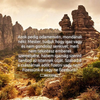 Picture 05 - Márk 12:14 KAR - Azok pedig odamenvén, mondának néki: Mester, - Bible Verse Picture