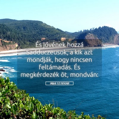Picture 05 - Márk 12:18 KAR - És jövének hozzá Sadduczeusok, a kik azt - Bible Verse Picture
